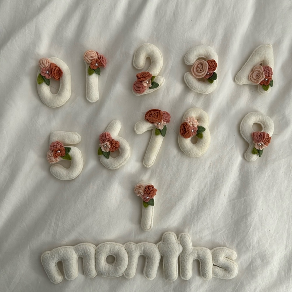 Sweet Felt Dreams Baby Milestone Set